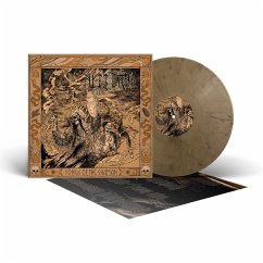 Cover Songs Of The Shaman