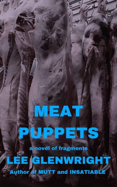Meat Puppets: A Novel of Fragments (eBook, ePUB) Meat Puppets: A Novel of Fragments (eBook, ePUB)