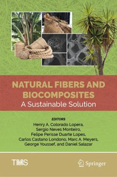 Natural Fibers and Biocomposites (eBook, PDF)