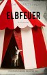 Elbfeuer (eBook, ePUB) - Bild 1