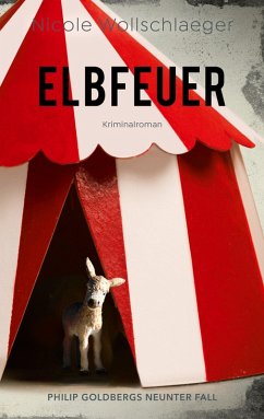 Elbfeuer (eBook, ePUB)
