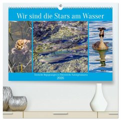 Cover Wir sind die Stars am Wasser (hochwertiger Premium Wandkalender 2026 DIN A2 quer), Kunstdruck in Hochglanz