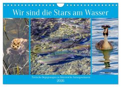Cover Wir sind die Stars am Wasser (Wandkalender 2026 DIN A4 quer), CALVENDO Monatskalender
