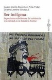 Ser indígena : expresiones subalternas de resistencia e identidad en la América austral Ser indígena : expresiones subalternas de resistencia e identidad en la América austral