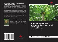 Cover Rooting of papaya microcuttings and mini-cuttings