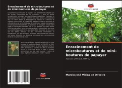 Cover Enracinement de microboutures et de mini-boutures de papayer