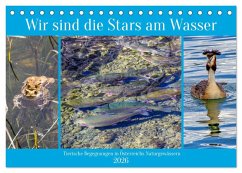 Cover Wir sind die Stars am Wasser (Tischkalender 2026 DIN A5 quer), CALVENDO Monatskalender