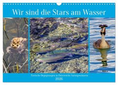 Cover Wir sind die Stars am Wasser (Wandkalender 2026 DIN A3 quer), CALVENDO Monatskalender