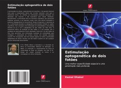 Cover Estimulação optogenética de dois fotões