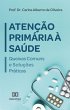 Atenção Primária à Saúde (eBook,... - Bild 1