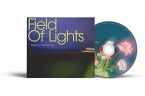 Field Of Lights
