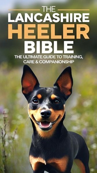 The Lancashire Heeler Bible_ The Ultimate Guide to Training, Care & Companionship (eBook, ePUB)