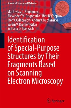 Identification of Special-Purpose Structures by Their Fragments Based on Scanning Electron Microscopy - Bogdanov, Viacheslav L.;Grigorenko, Alexander Ya.;Chepkov, Ihor B.