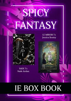 Cover IE box book - Spicy fantasy (eBook, ePUB)