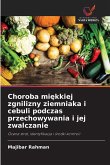 Choroba mi¿kkiej zgnilizny ziemniaka i cebuli podczas przechowywania i jej zwalczanie