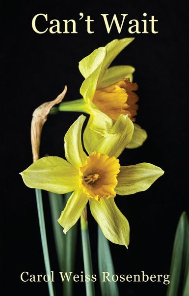 Can't Wait (eBook, ePUB) Can't Wait (eBook, ePUB)