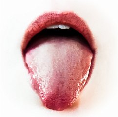 Cover Ox
