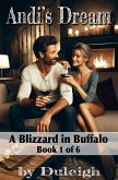 A Blizzard in Buffalo (Andi's Dream, #1) (eBook, ePUB)