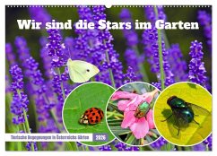 Cover Wir sind die Stars im Garten (Wandkalender 2026 DIN A2 quer), CALVENDO Monatskalender