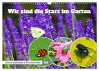 Wir sind die Stars im Garten (Wandkalender 2026 DIN A3 quer), CALVENDO Monatskalender
