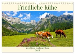 Friedliche Kühe (Wandkalender 2026 DIN A4 quer), CALVENDO Monatskalender