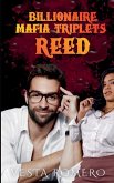 Billionaire Mafia Triplets