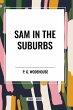 Sam in the Suburbs - Bild 1