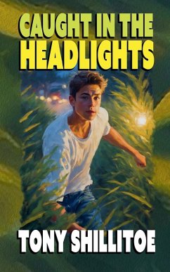 Caught in the Headlights - Shillitoe, Tony