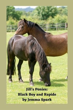 Jill's Ponies - Spark, Jemma