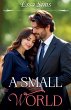 A Small World - Bild 1