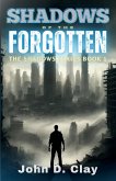 Shadows of the Forgotten Shadows of the Forgotten