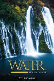 Water at Burney Falls