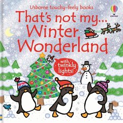 Cover That's not my... Winter Wonderland