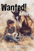 Wanted! A Horse Wanted! A Horse