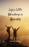 Life's Little Adventures in Absurdity Life's Little Adventures in Absurdity