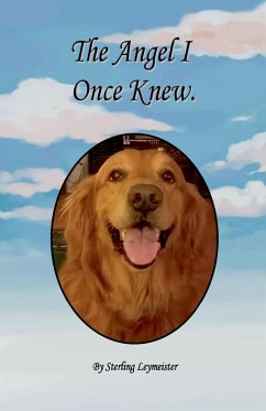 Cover The Angel I Once Knew