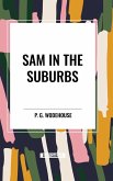 Sam in the Suburbs Sam in the Suburbs