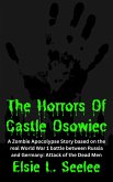 The Horrors of Castle Osowiec (eBook, ePUB) The Horrors of Castle Osowiec (eBook, ePUB)