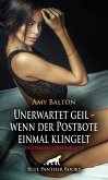 Unerwartet geil - wenn der Postbote einmal klingelt   Erotische Geschichte (eBook, PDF)