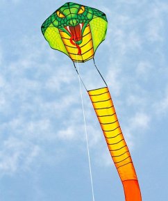 Cover Ecoline 102199 - Ecoline: Emerald Cobra Kite, 1000x67cm, Drachen/Kinderdrachen