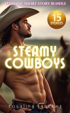 Steamy Cowboys (eBook, ePUB)