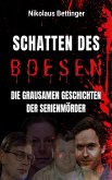 Schatten des Bösen (eBook, ePUB)