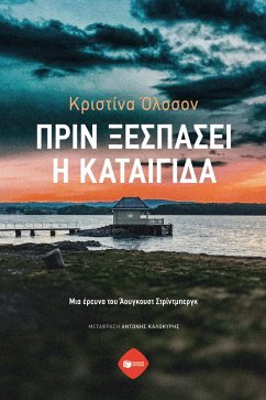 Cover Stormvakt (eBook, ePUB)