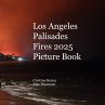 Los Angeles Palisades Fires 2025... - Bild 1