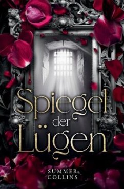 Cover Spiegel der Lügen