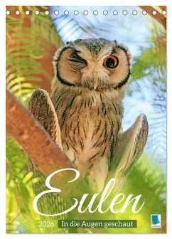 Cover Eulen: In die Augen geschaut (Tischkalender 2026 DIN A5 hoch), CALVENDO Monatskalender