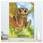 Eulen: In die Augen geschaut (hochwertiger Premium Wandkalender 2026 DIN A2 hoch), Kunstdruck in Hochglanz
