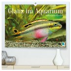 Glanz im Aquarium: Süßwasserfische (hochwertiger Premium Wandkalender 2026 DIN A2 quer), Kunstdruck in Hochglanz
