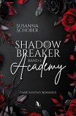 Shadowbreaker Academy 2