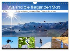 Cover Wir sind die fliegenden Stars (Wandkalender 2026 DIN A4 quer), CALVENDO Monatskalender